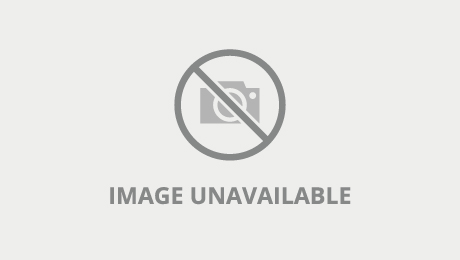 Horny Sex Video Tranny Stockings Craziest Full Version